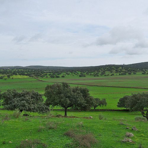 Portada - A quién le importa