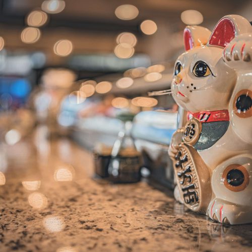 Portada - En el chino