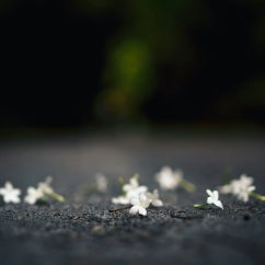 Portada - La ultraderecha la paro yo