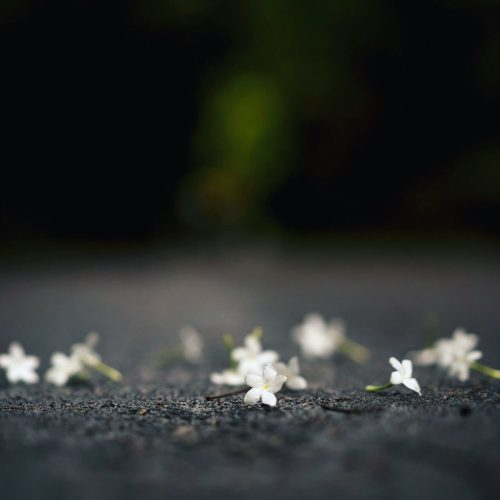 Portada - La ultraderecha la paro yo