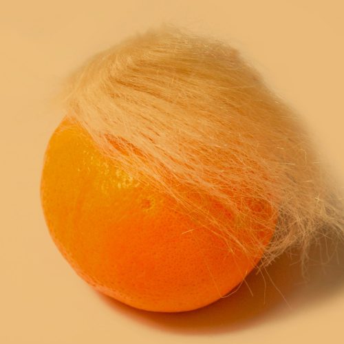 Portada - La ultraderecha la traigo yo