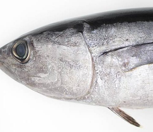 Portada - Mañana será bonito